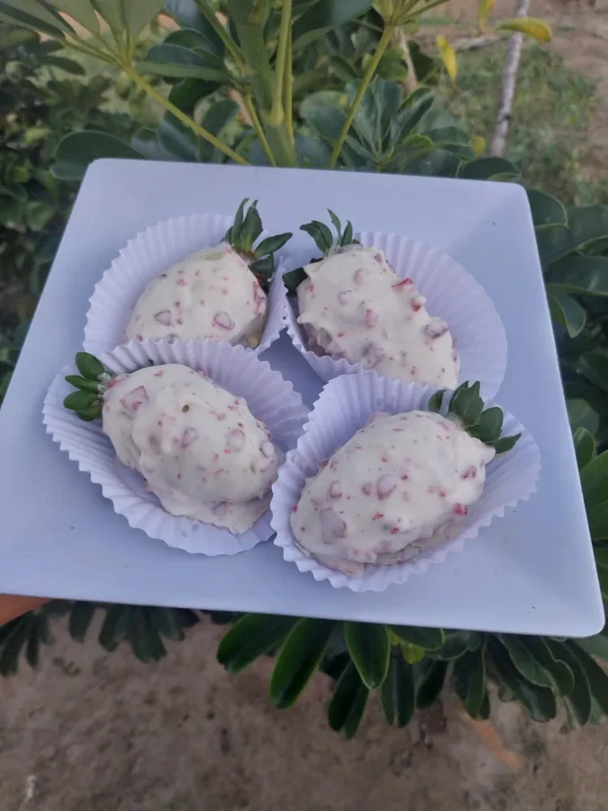 Morango cravejado